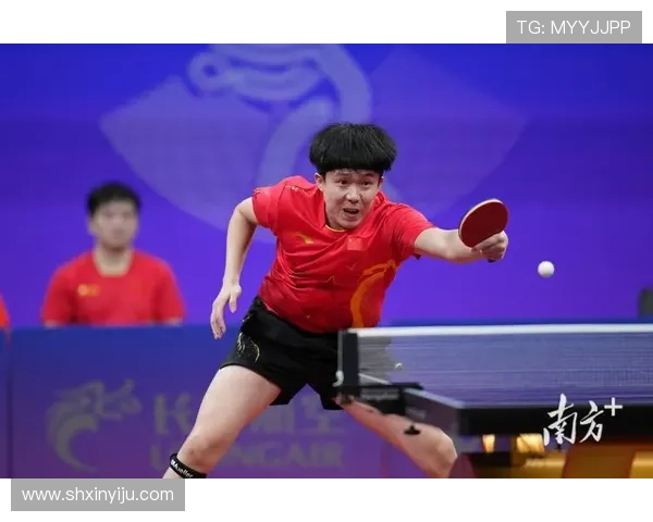 乒乓球热点:解读深圳乒乓球队的反击 乒乓球热点:解读深圳乒乓球队的反击