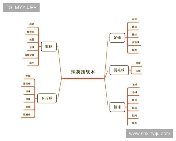 武汉排球队与成都排球队赛后分析力量对比与战术探讨