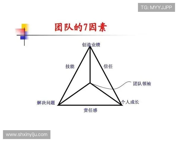 武汉篮球队挑战赛点评团队协作表现分析与未来发展建议