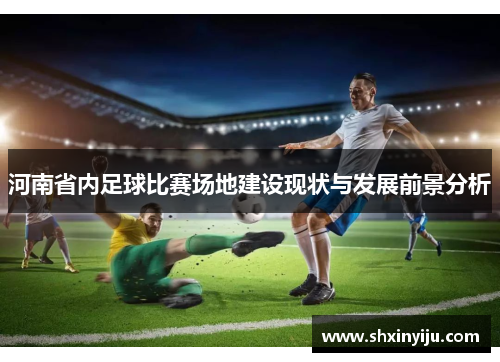河南省内足球比赛场地建设现状与发展前景分析