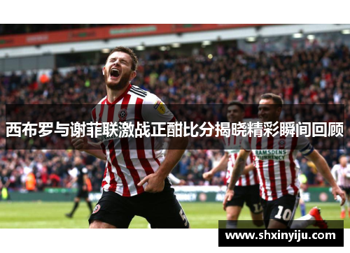 西布罗与谢菲联激战正酣比分揭晓精彩瞬间回顾