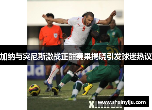 加纳与突尼斯激战正酣赛果揭晓引发球迷热议